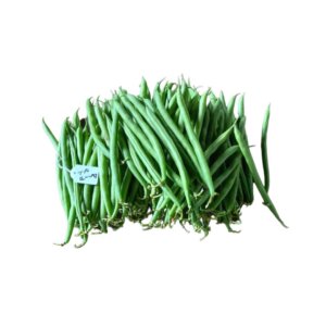 ENVOY (Bush Bean)