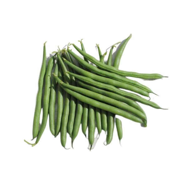 TAHOE (Bush Bean)