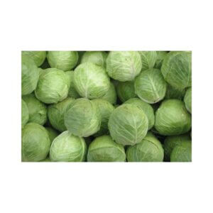 Cabbage-_-CHEETAH-F1