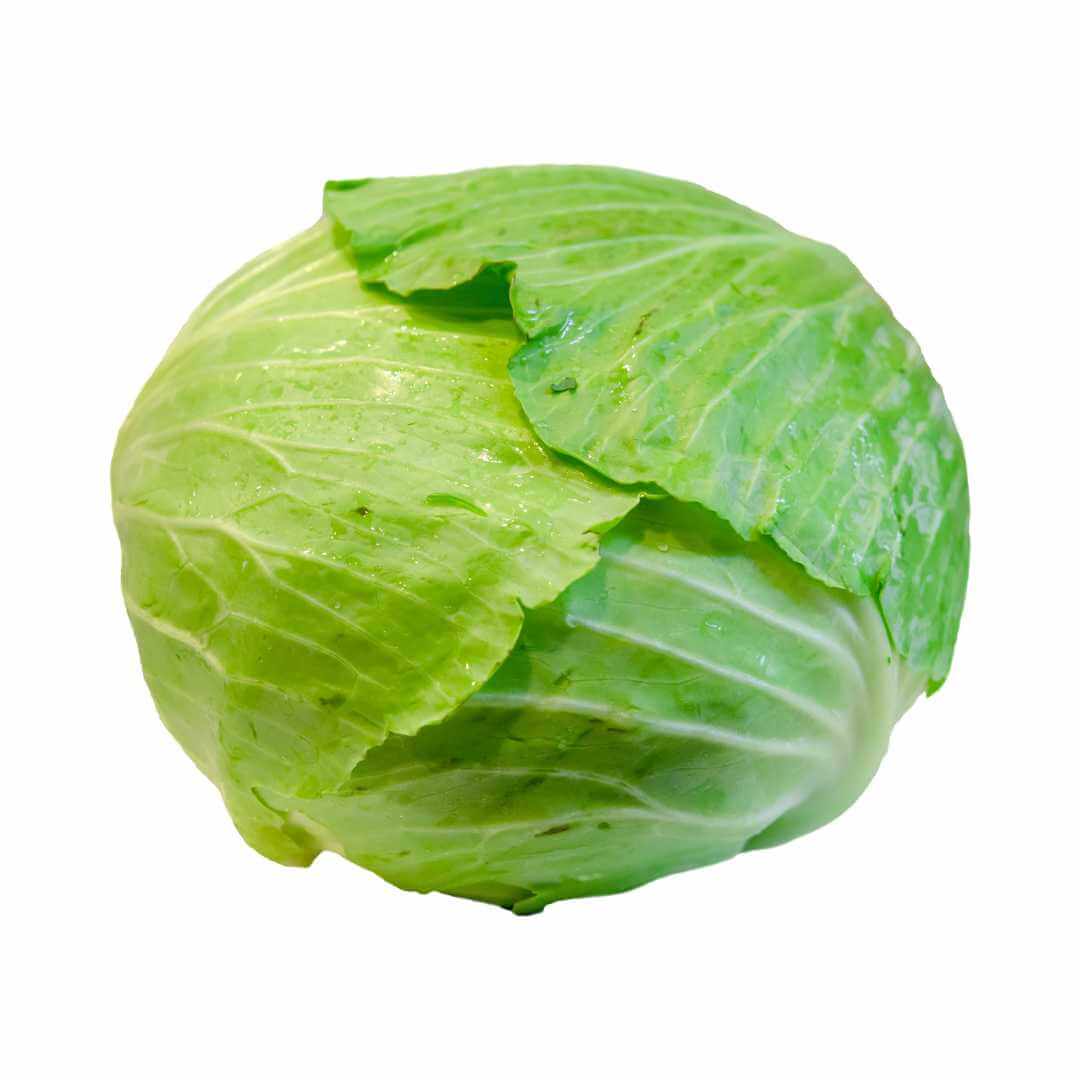 Cabbage