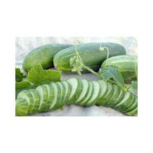 Cucumber-_-ASHLEY