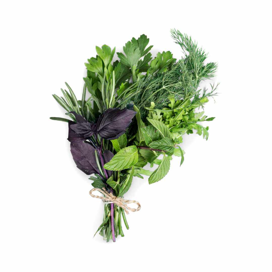Herbs