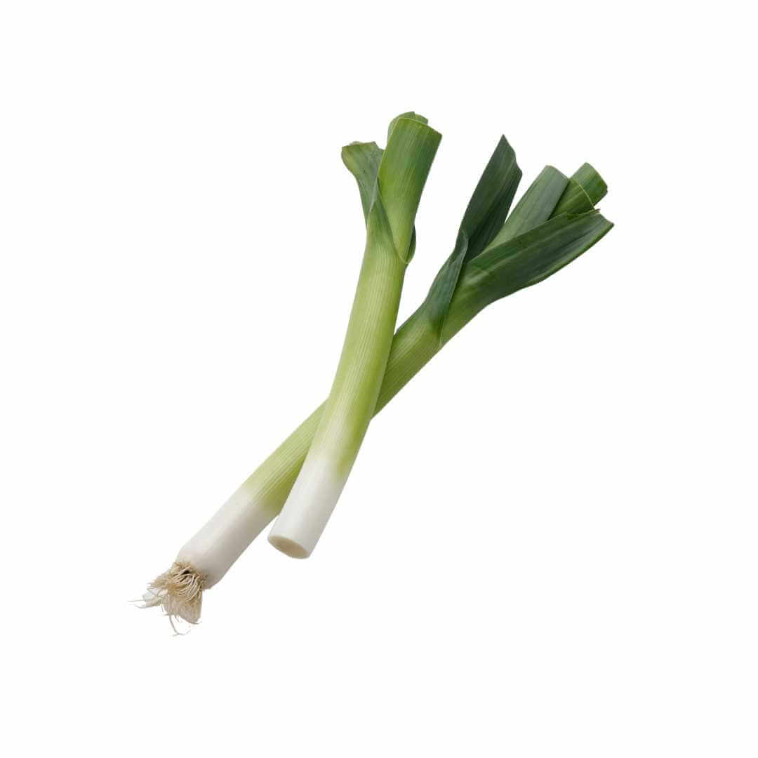 Leek