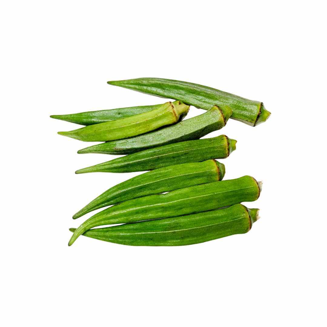 Ocra