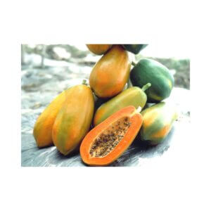 Papaya-_-RED-LADY