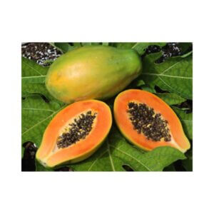 Papaya-_-SUNRISE-SOLO