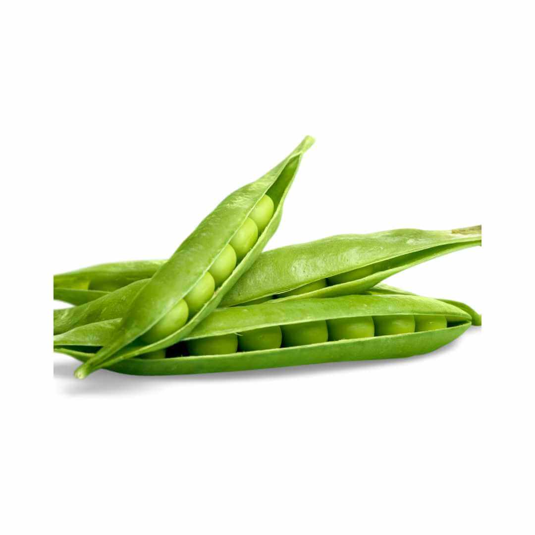 Pea