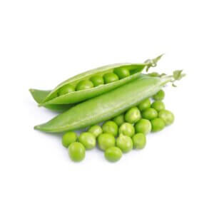 Peas-_-BOLERO-_-Shelling-Pea