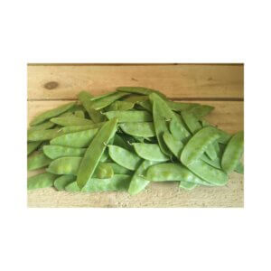 Peas-_-KENNEDY-_-Snow-Pea