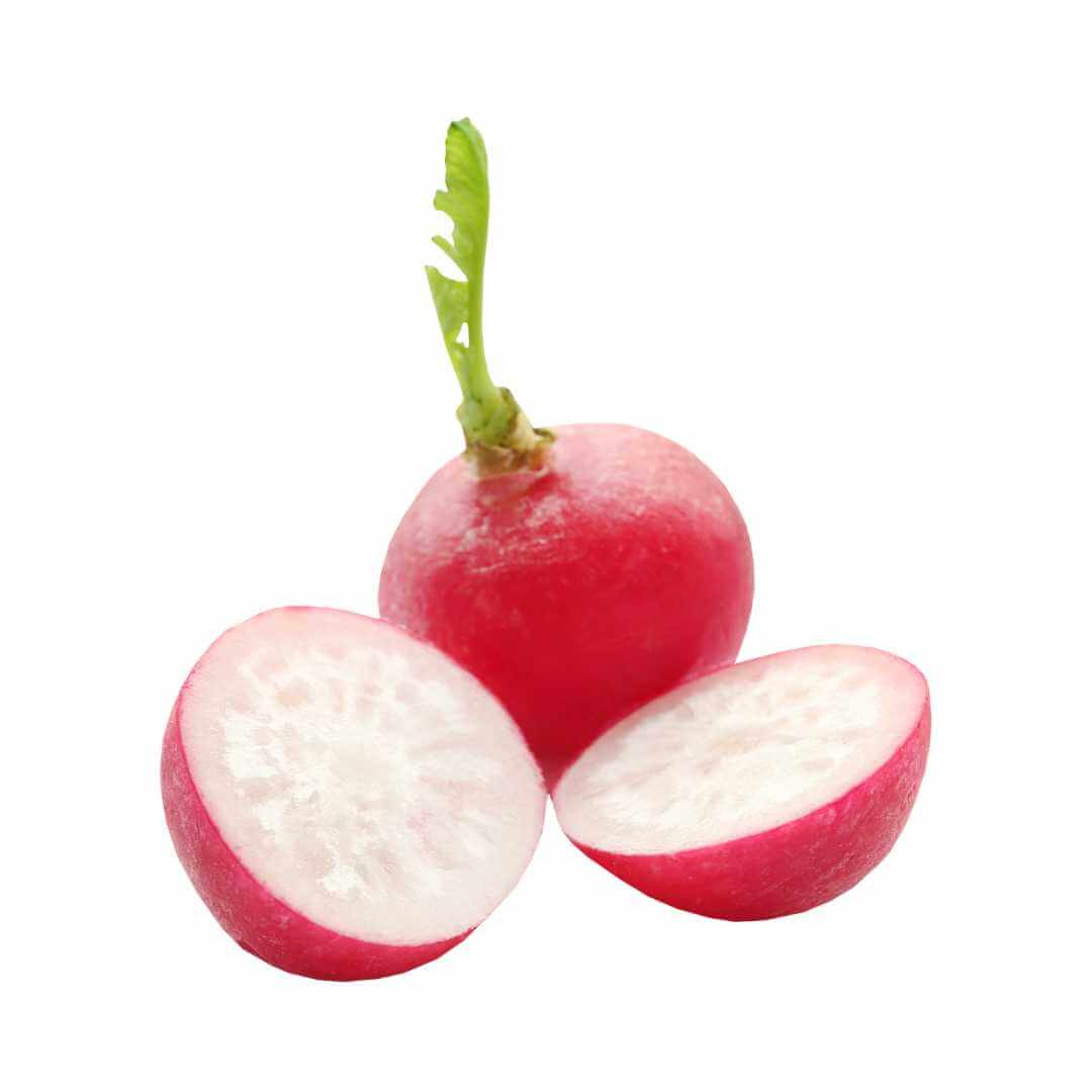 Radish
