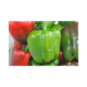 Sweet Pepper _ CALIFORNIA WONDER _ Blocky