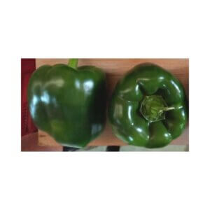 Sweet Pepper _ SV 6131 PB F1 _ Blocky