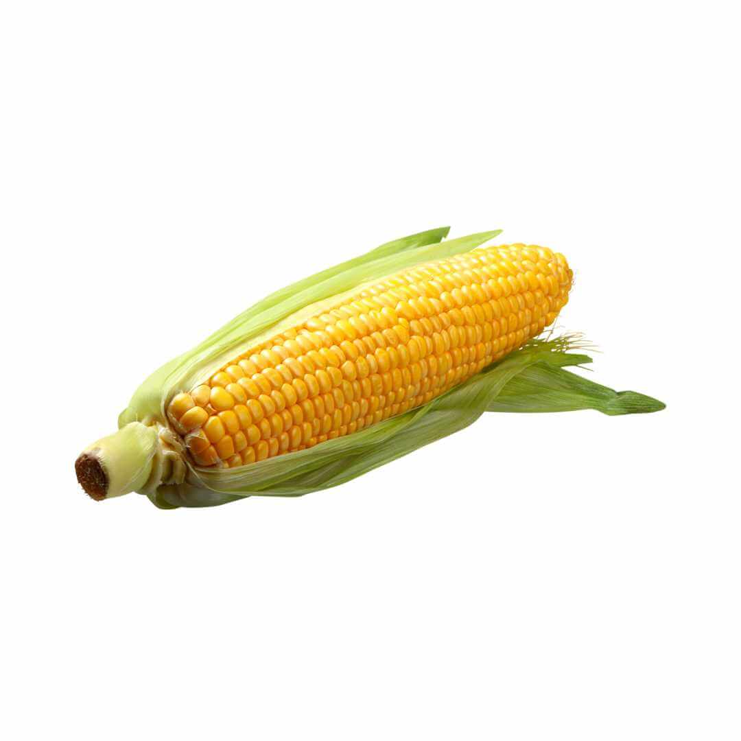 Sweetcorn
