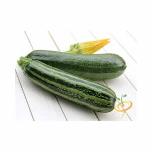 Squash _ Caserta _ Marrow