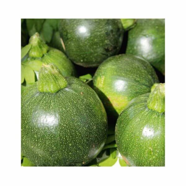 Squash _ Eight Ball Extreme F1 _ Marrow