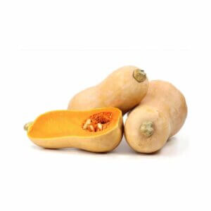 Squash _ Walthamax _ Butternut