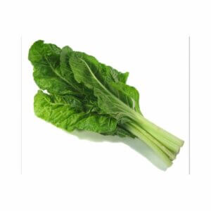 Swiss Chard _ SCX 9015 F1 _ All Year