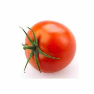 Tomato _ BHN 98 F1 _ Main-Season