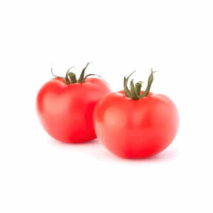 Tomato _ Degas F1 _ Main-Season