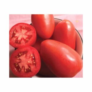 Tomato _ F350 F1 _ Main-Season