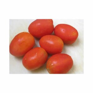 Tomato _ HTP 328 F1 _ Main-Season
