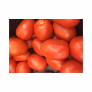Tomato _ Simone F1 _ Main-Season