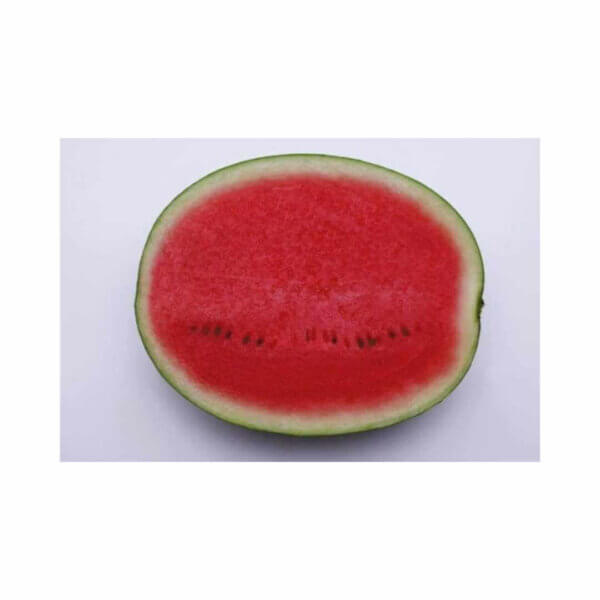 Watermelon _ Red Heaven F1 _ Main-Season