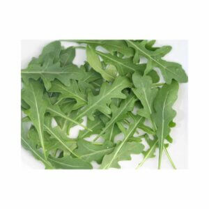 CULTIVATED ROCKET