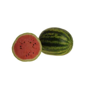 Watermelon _ Uhlenhorst F1 _ Main-Season