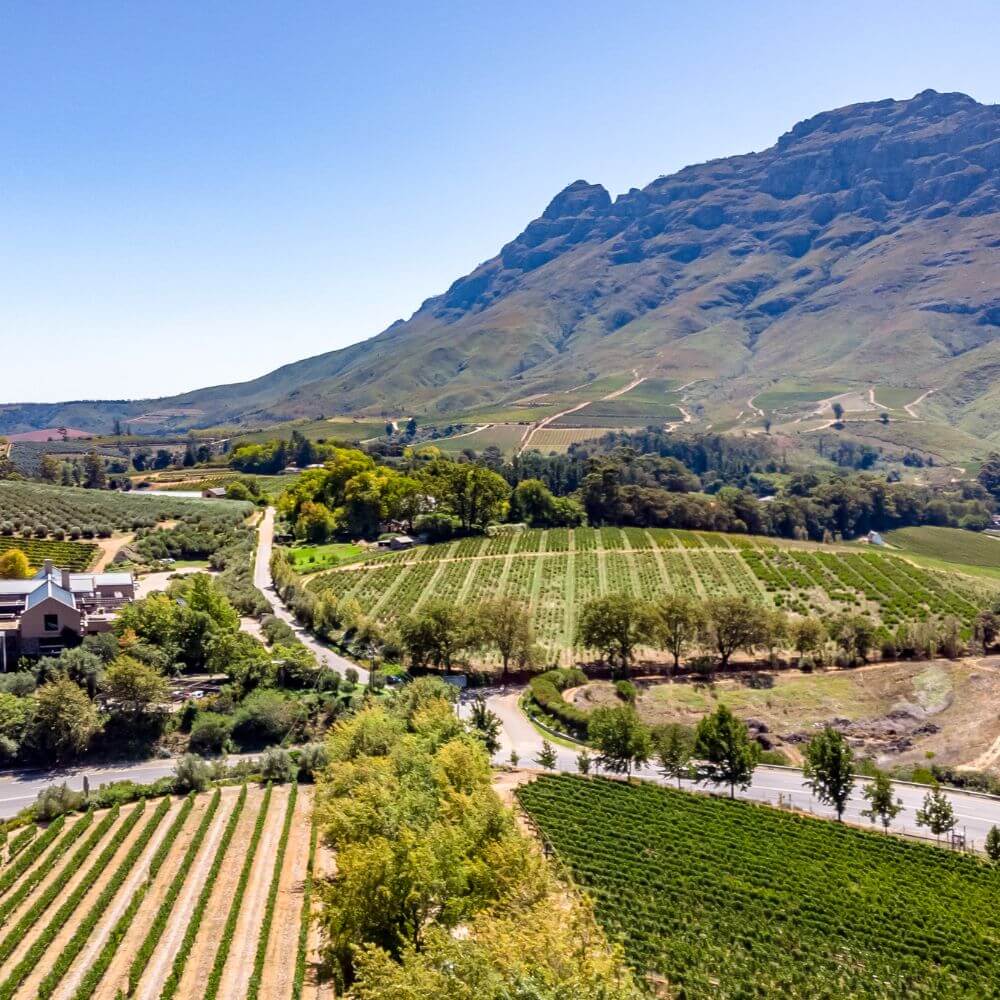 Stellenbosch Farmer’s Day