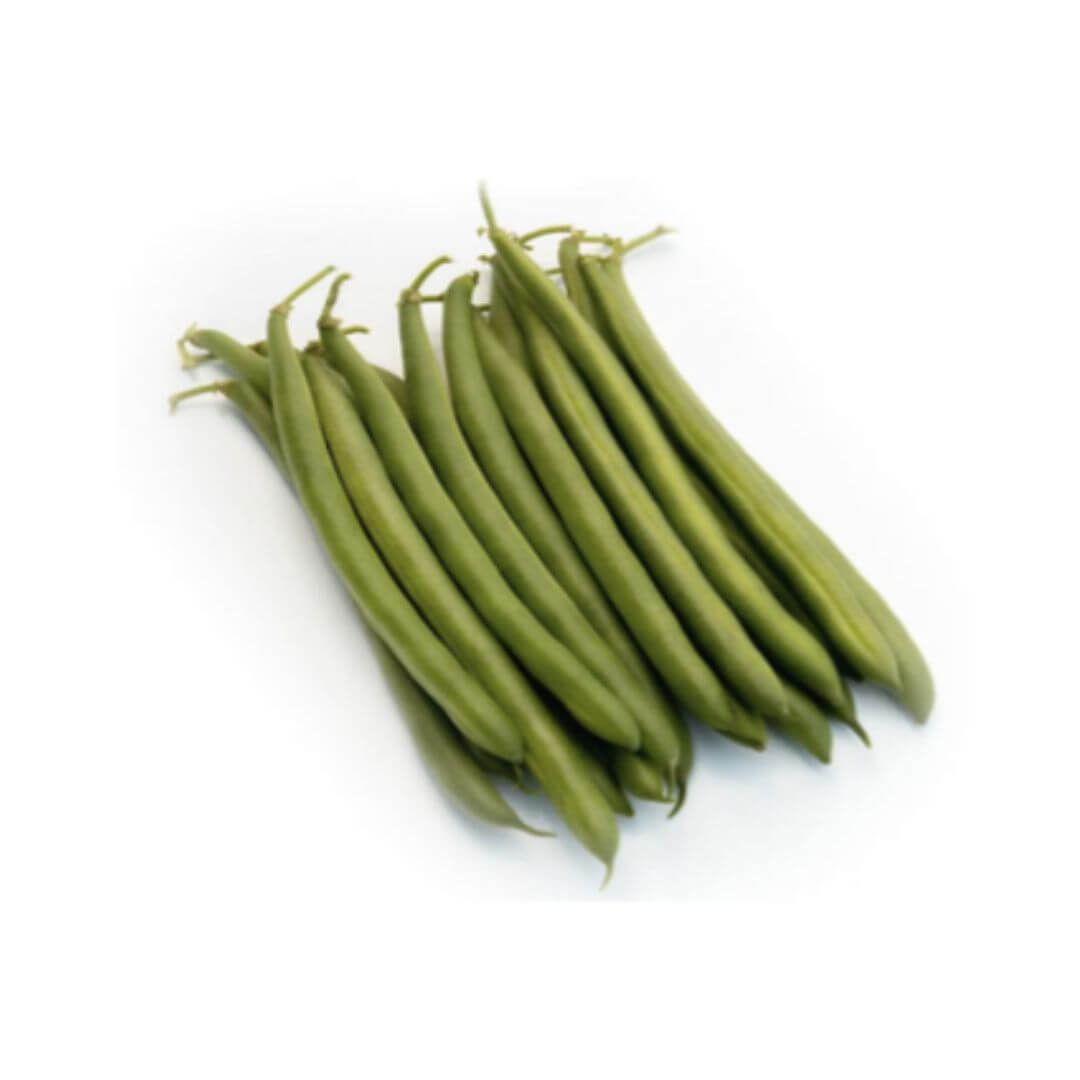 LUNAR (Bush Bean)