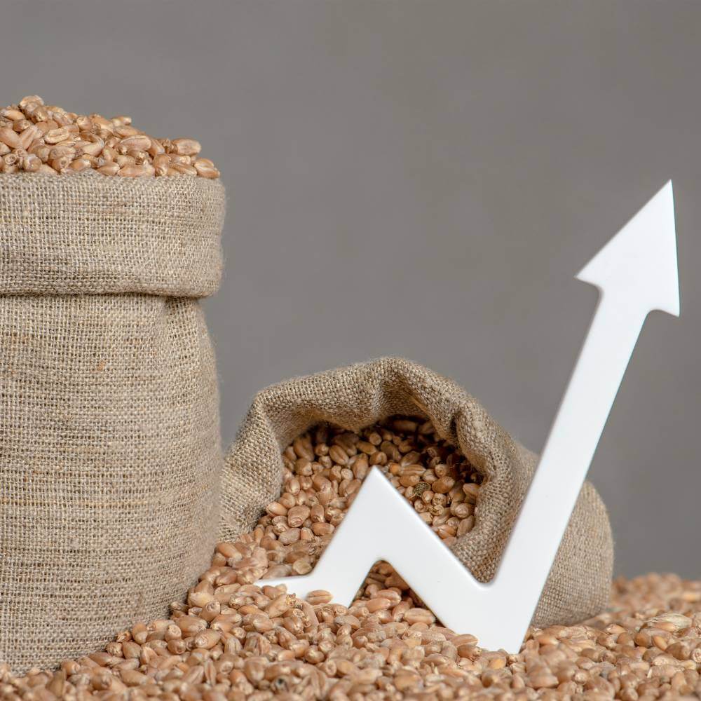 Digging into SA’s Soaring Food Prices