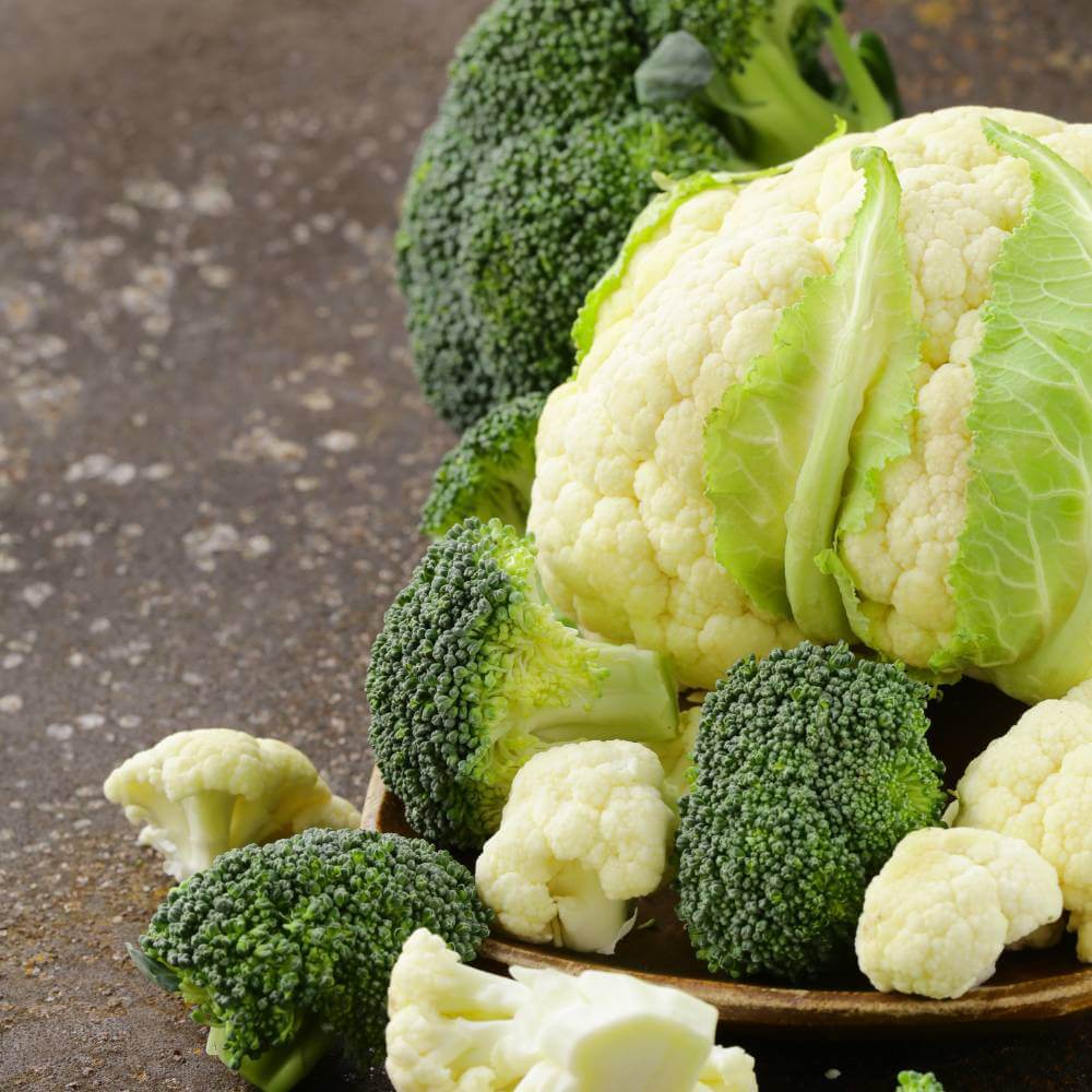 Brassica Range is Booming!
