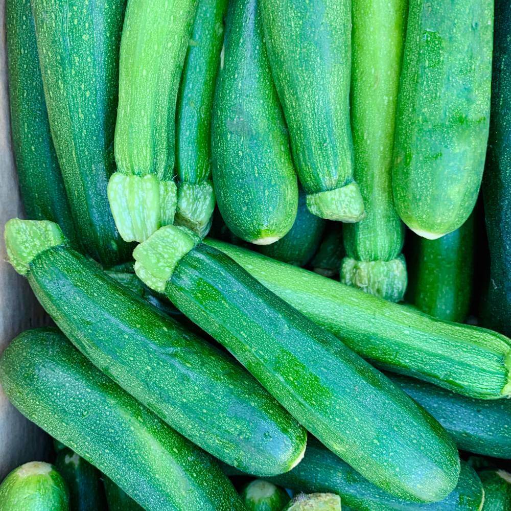 Baby Marrow BB1022 F1