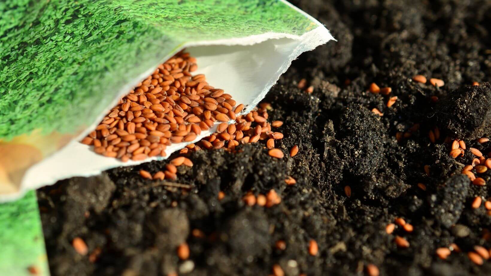 Hygrotech_Seeds Hygrotech Seed Range