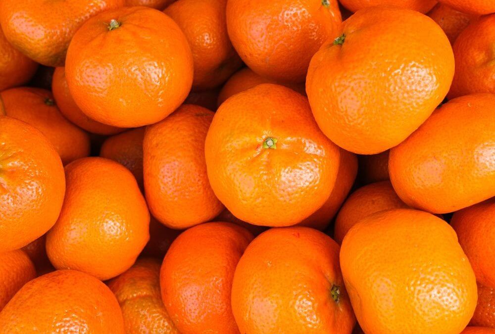 Adjuvants Trial on Citrus