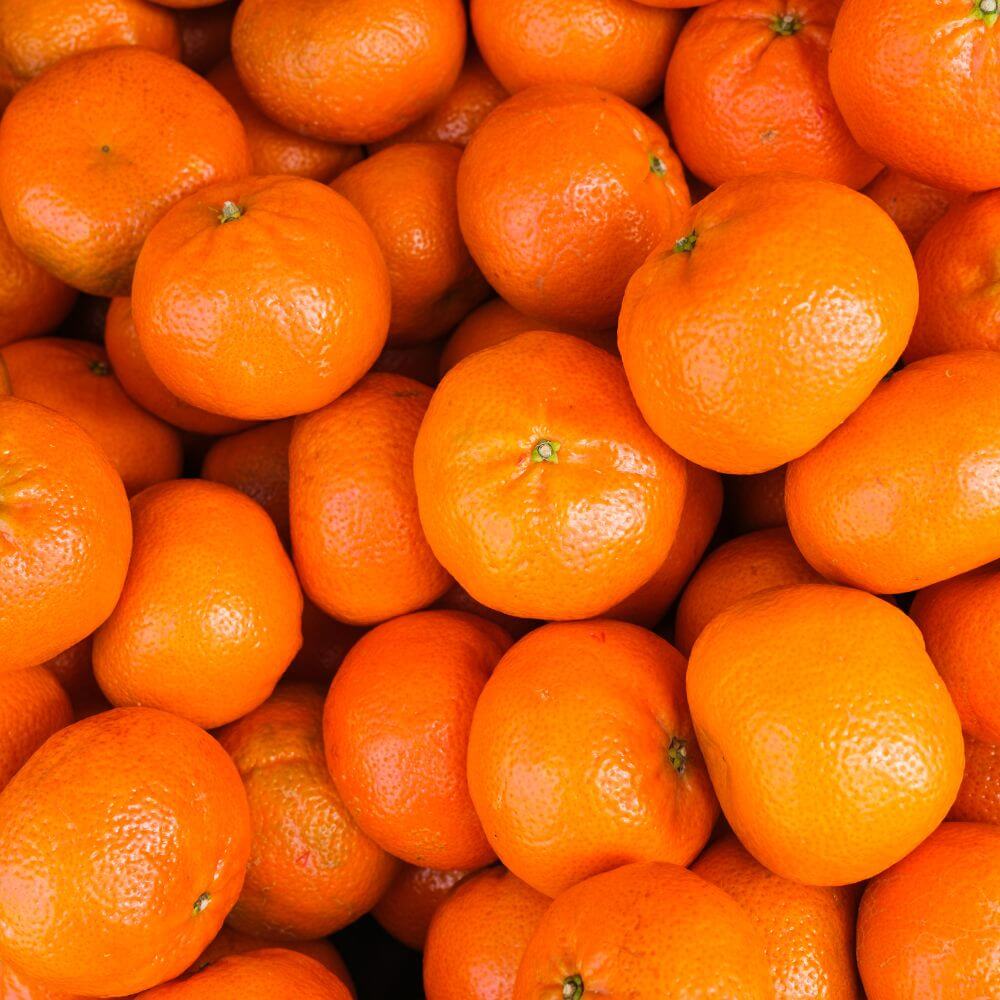 Adjuvants trial on citrus _ Hygrotech