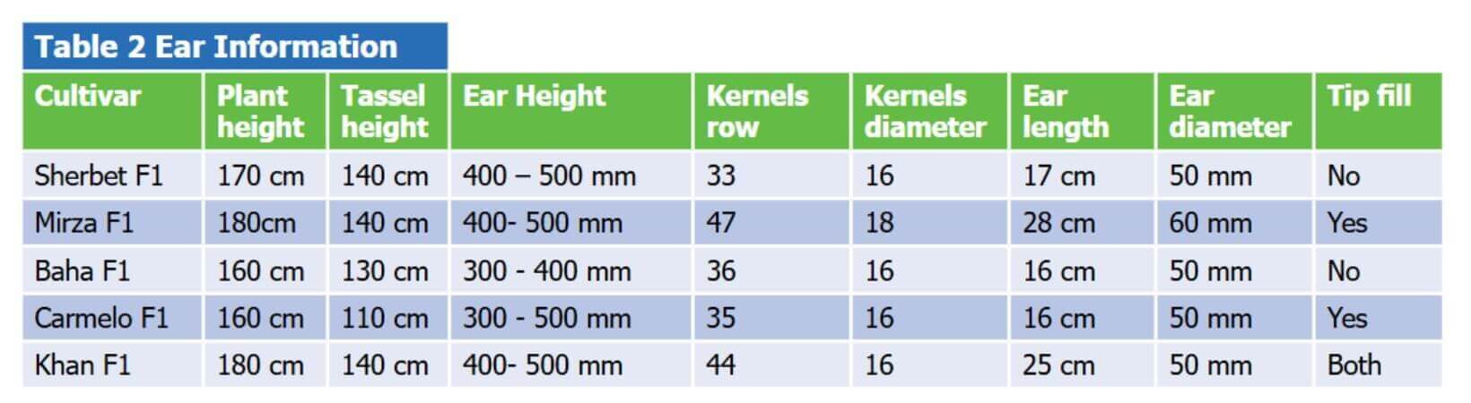 Table comparing ear information of five sweetcorn cultivars (Sherbet F1, Mirza F1, Baha F1, Carmelo F1, Khan F1) showing plant height, tassel height, ear height, kernel rows, kernel diameter, ear length, ear diameter, and tip fill characteristics.