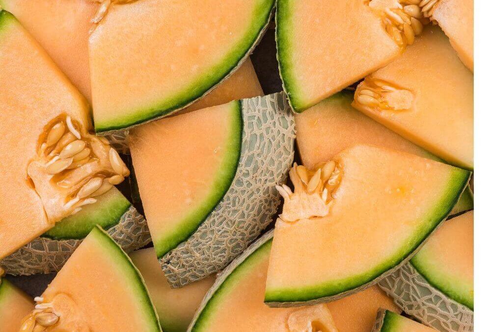 Smart Nutrition for Melon Success