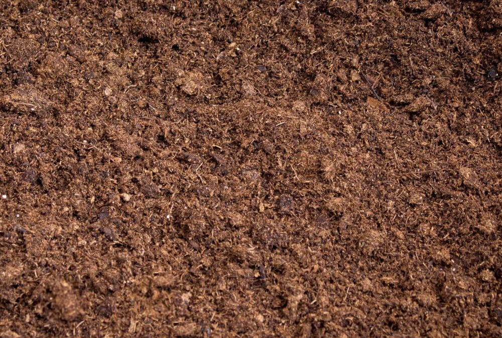Peat Moss Mikskaar