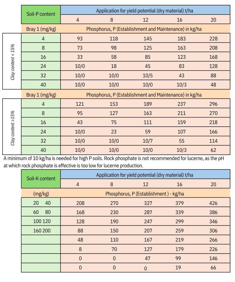 Why Foliar Feed a Plant?