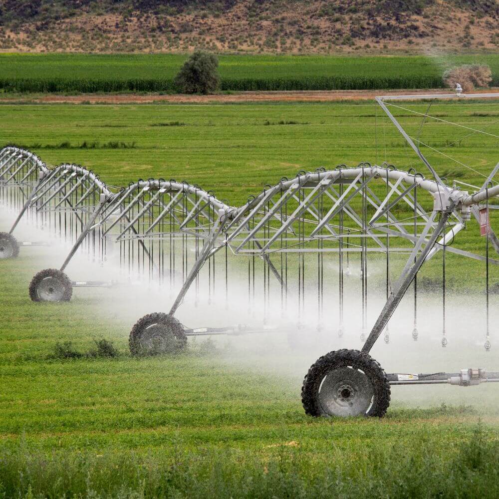 Water Quality & Crops