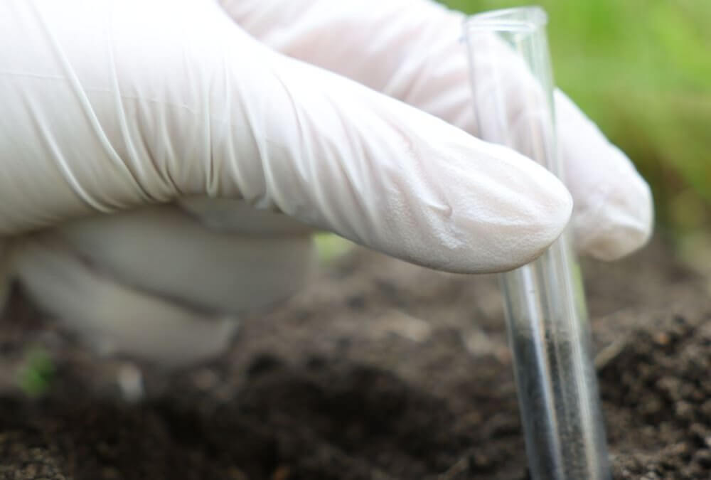 Biofumigation Explained