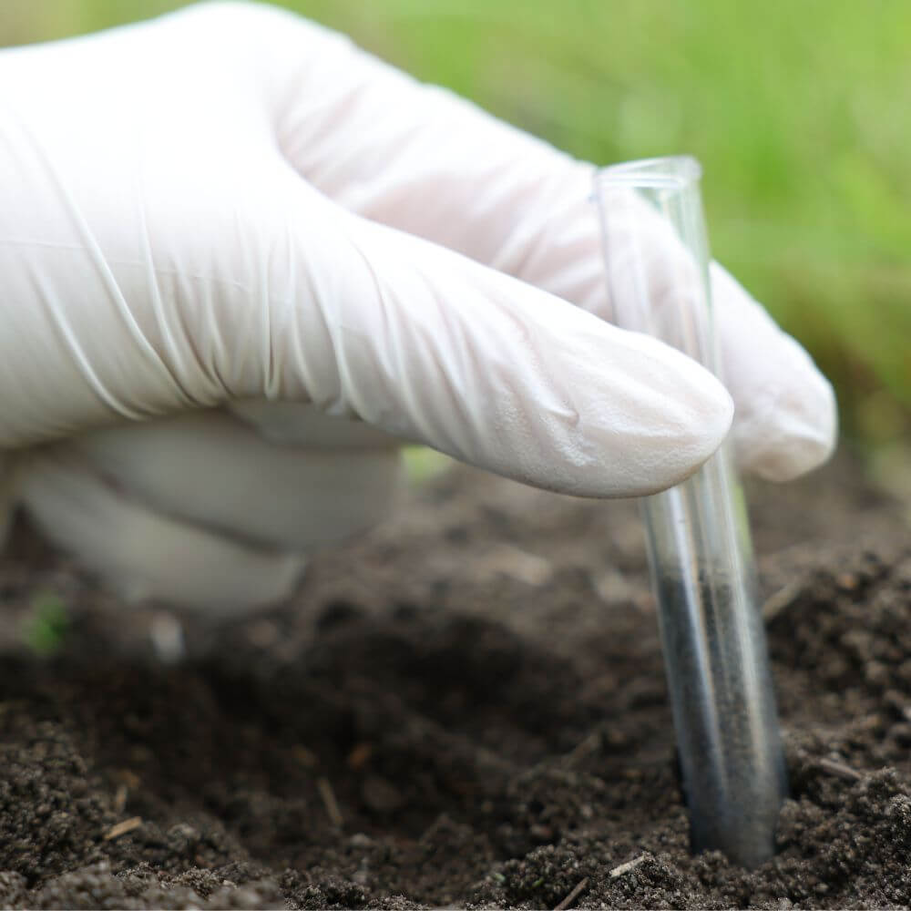 Biofumigation