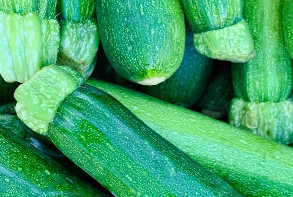 High Yield Baby Marrows