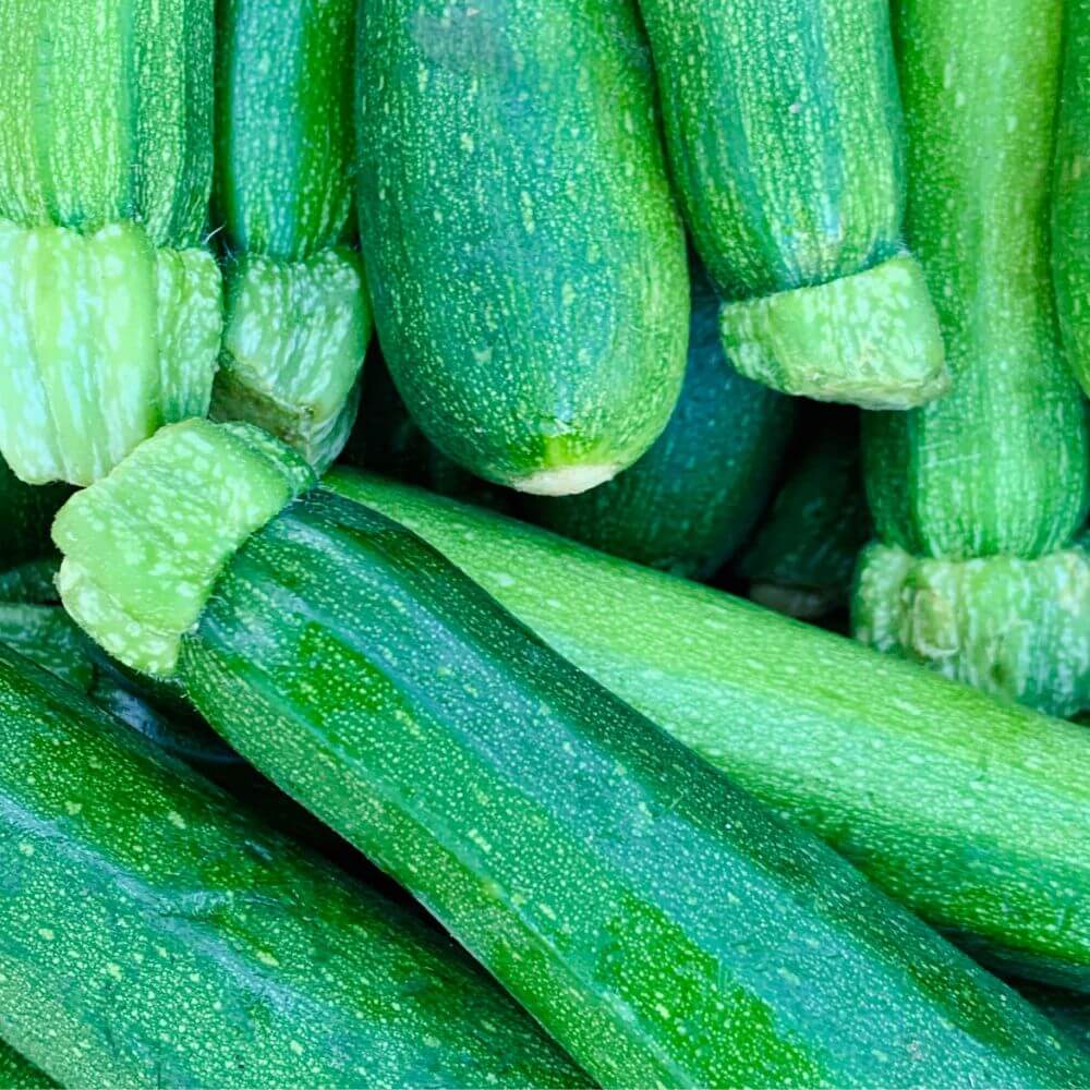 High Yield Baby Marrows